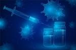 Western Blot Gel in Vaccine Research: Evaluating Antigen Expression