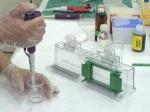 SDS PAGE Electrophoresis: Trends in Protein Research 2025